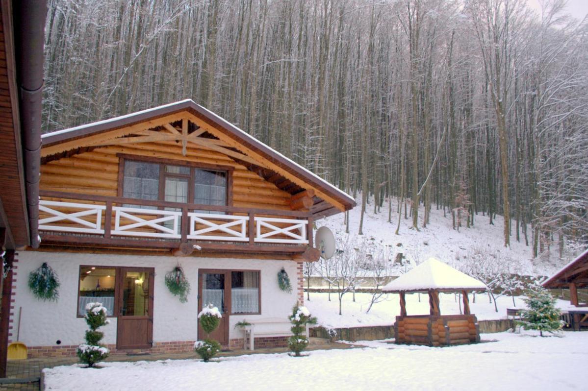 U Druziv Hotel Polyana  Exterior photo
